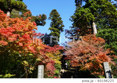 円覚寺 Engakuji temple 円覚寺 Engakuji temple 60196225