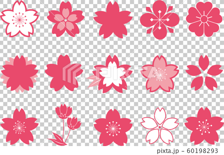 桜 花 紋 桜の花 桜 4月 お花見 桜紋 ベクター アイコン マーク セットのイラスト素材