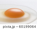 Egg 60199064
