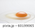 Egg 60199065