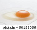 Egg 60199066
