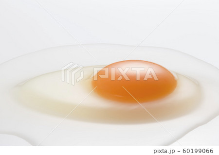 Egg Egg 60199066