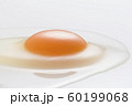 Egg 60199068