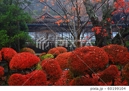 紅葉の花巻温泉旧松雲閣 60199104