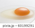 Egg 60199291