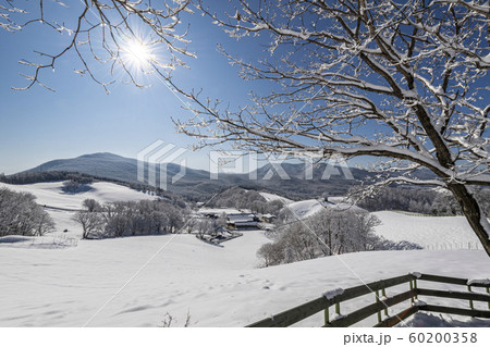 冬 大関嶺 雪景色 60200358