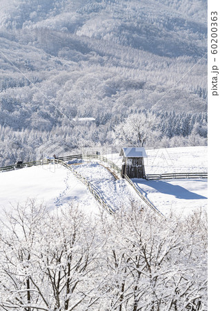 冬 大関嶺 雪景色 60200363