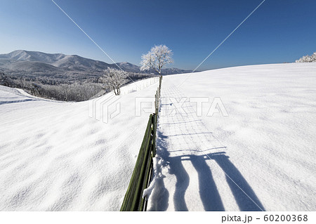 冬 大関嶺 雪景色 60200368
