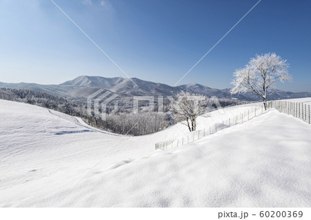 冬 大関嶺 雪景色 60200369