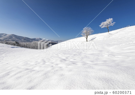 冬 大関嶺 雪景色 60200371