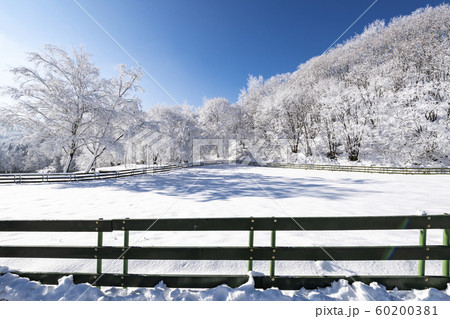 韓国の風景 冬 目 60200381