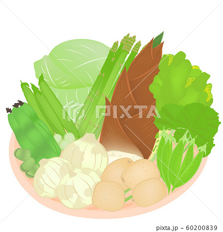 春の野菜の収穫 ざる のイラスト素材 6009