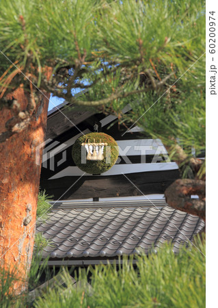 造り酒屋の杉玉 造り酒屋の杉玉 60200974