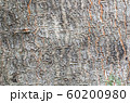Nature Background 60200980
