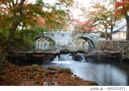 秋 紅葉 風景 60201451