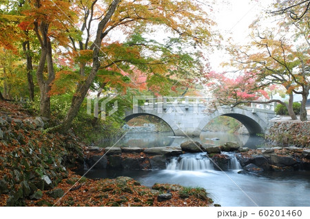 秋 紅葉 風景 60201460