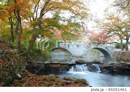 秋 紅葉 風景 60201461