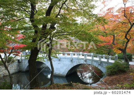 秋 紅葉 風景 60201474