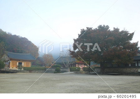 秋 紅葉 風景 60201495