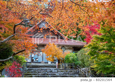 三重県 いなべ 紅葉の名所 聖宝寺の本堂 三重県 いなべ 紅葉の名所 聖宝寺の本堂 60201564