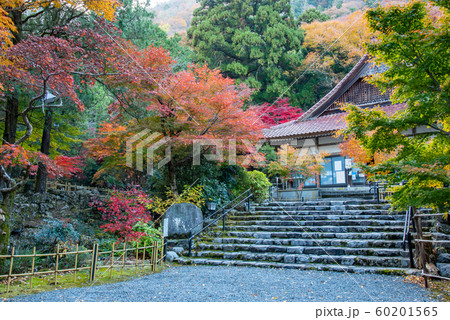 三重県　いなべ　紅葉の名所　聖宝寺の本堂 60201565