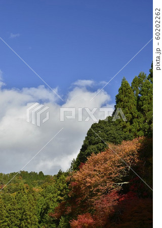 【京都府】鞍馬の紅葉 【京都府】鞍馬の紅葉 60202262