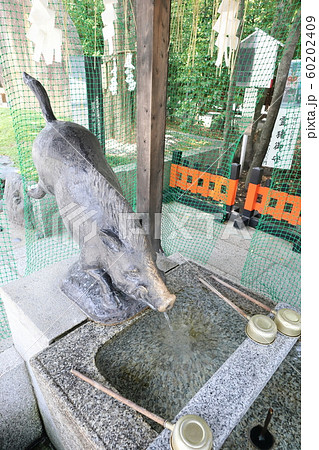 護王神社の手水 60202409