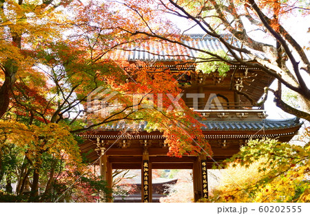 功山寺の紅葉 功山寺の紅葉 60202555