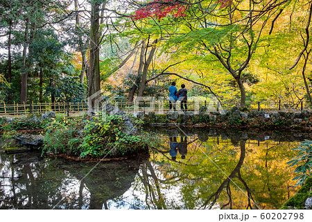 三重県 いなべ 紅葉の名所 聖宝寺の浄土池 紅葉を眺める参拝客 三重県 いなべ 紅葉の名所 聖宝寺の浄土池 紅葉を眺める参拝客 60202798