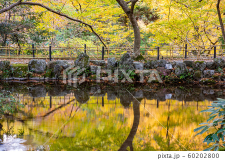 三重県　いなべ　紅葉の名所　聖宝寺の浄土池 60202800