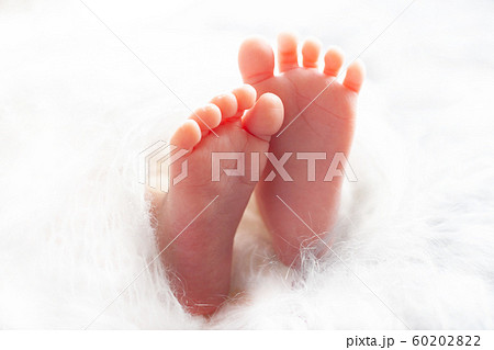 赤ちゃんの足 赤ちゃんの足 60202822