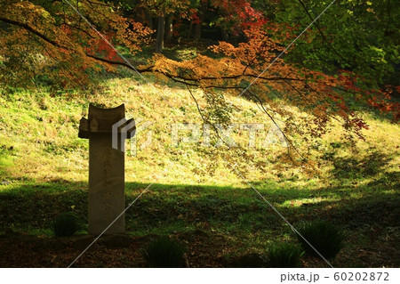 仏教 歴史 文化 60202872