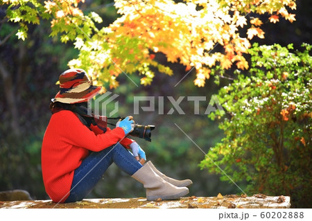 仏教 歴史 文化 60202888