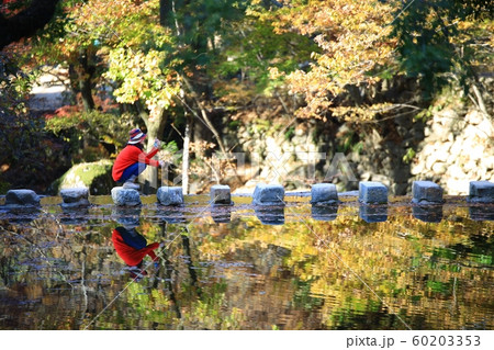 仏教 歴史 文化 60203353