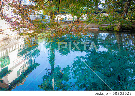 【山口県】別府弁天池・風景 60203625