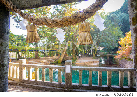 【山口県】別府弁天池・風景 60203631