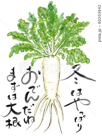 おでんは大根 おでんは大根 60203642