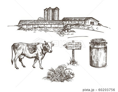 A farm with cowsheds and a grain elevator, a cow, a milk can, a wooden sign, a bouquet of flowers. 60203756