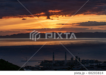 海南の工場の夕景夜景 雨の森展望台から 60203814