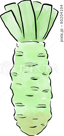 わさびの茎と根のイラスト素材 わさびの茎と根のイラスト素材