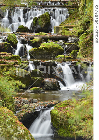 京都府 貴船川の写真素材