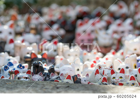 淡嶋神社 人形供養 ひな流し 60205024