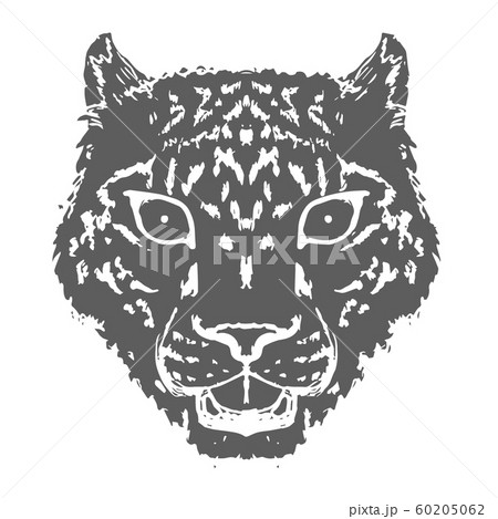 Snow Leopard Roar face or head. Hand drawn Leopard Head animal or predator isolated on white background. Vector 60205062