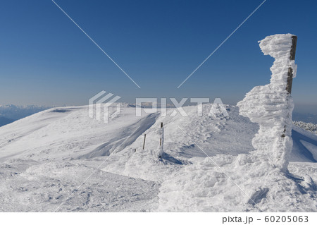 熊野岳から地蔵山への登山道 60205063