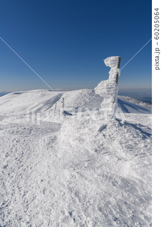 熊野岳から地蔵山への登山道 60205064