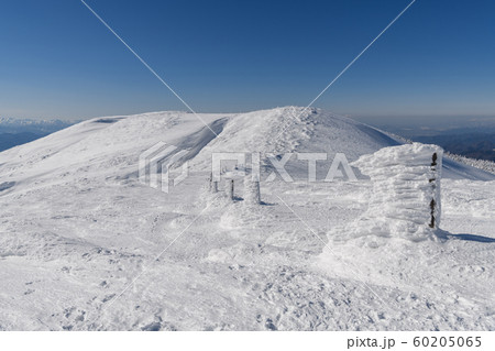 熊野岳から地蔵山への登山道 60205065
