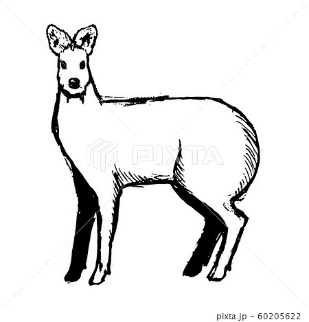Deer sketch stock illustration Illustration of animal  117424475