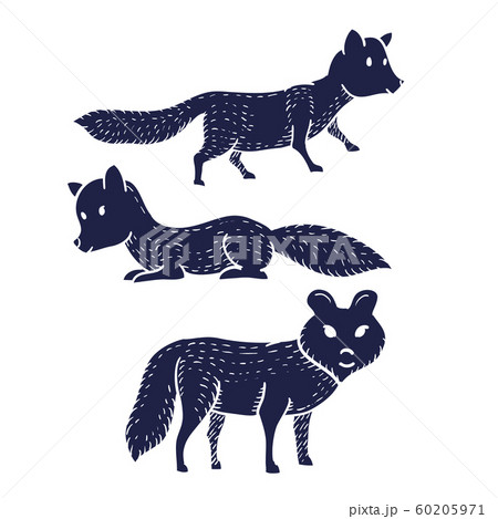 Dogs Or Foxex Or Wolves Hand Drawn On White のイラスト素材