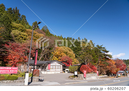 輪王寺の秋 60206207