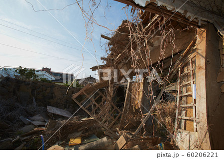 肺が 廃屋 済州島 60206221